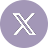 x logo