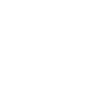 Global Star