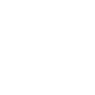 Reading Borough Council