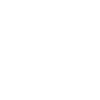 Ses water